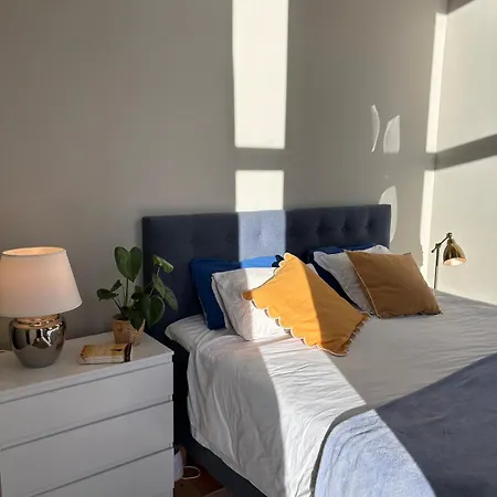 New Modern *