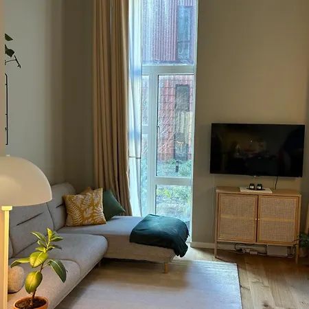 New Modern *