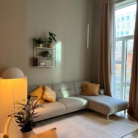 New Modern